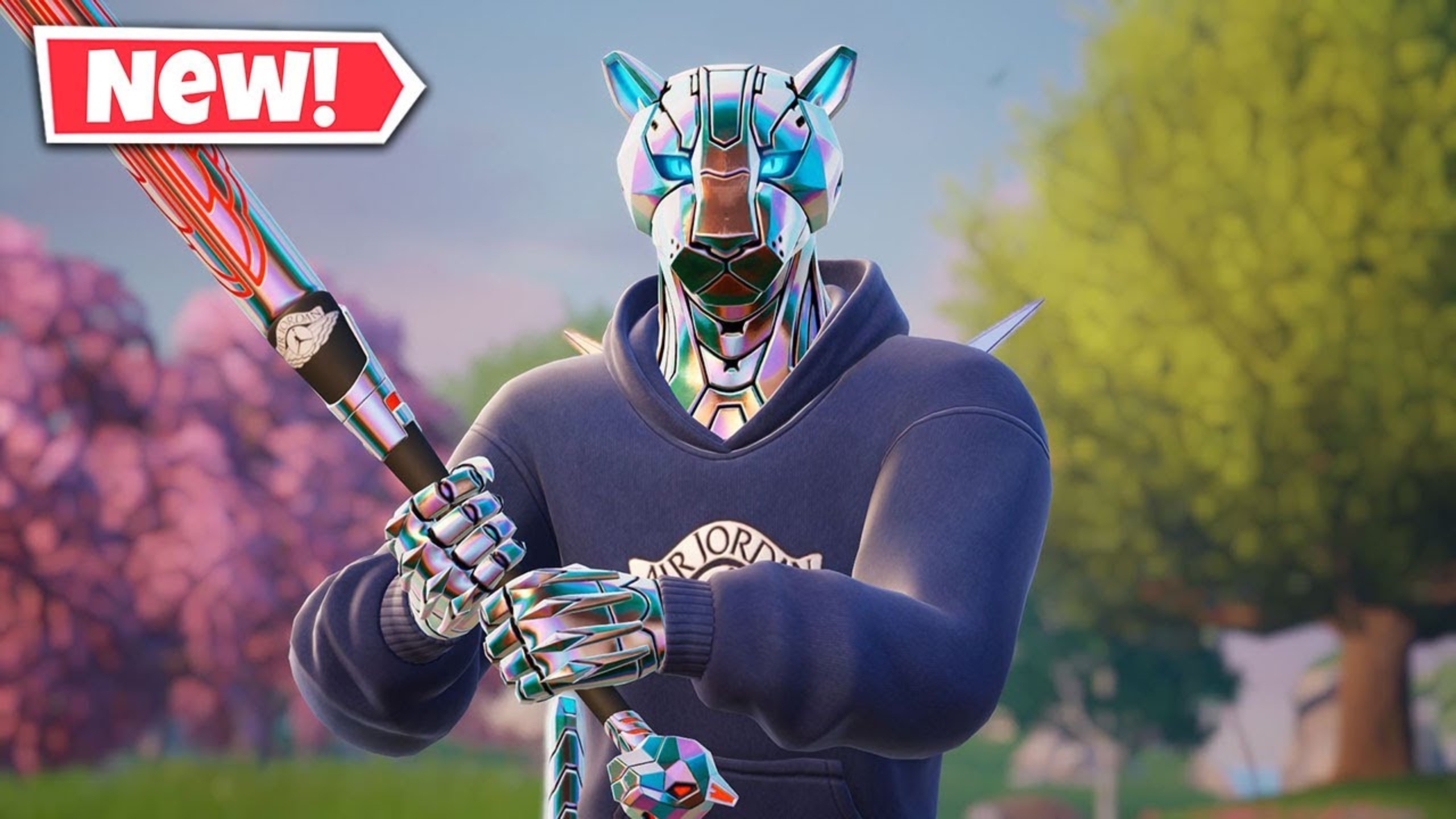 球球迷关注 球球迷关注